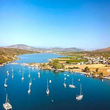 Vivari Hotel 4*